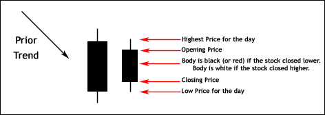 Bullish Homing Pigeon